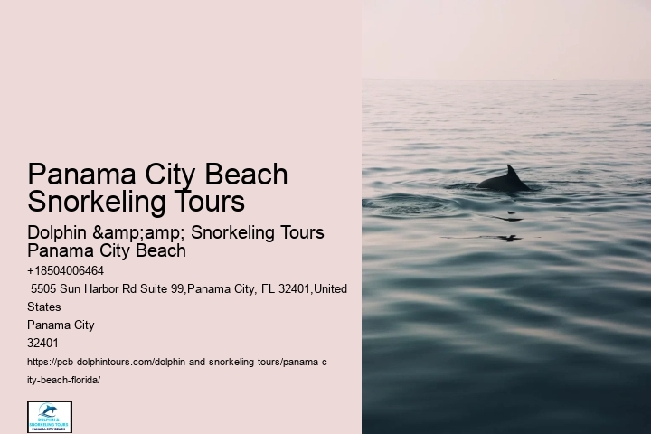 What Safety Measures Are In Place During Snorkeling Tours