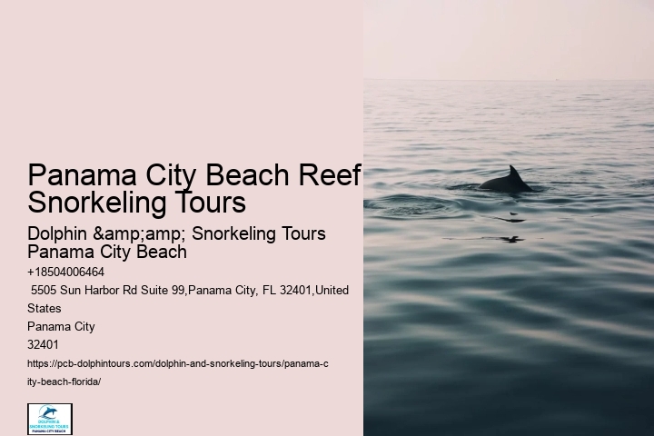 Panama City Beach Snorkeling Tours South