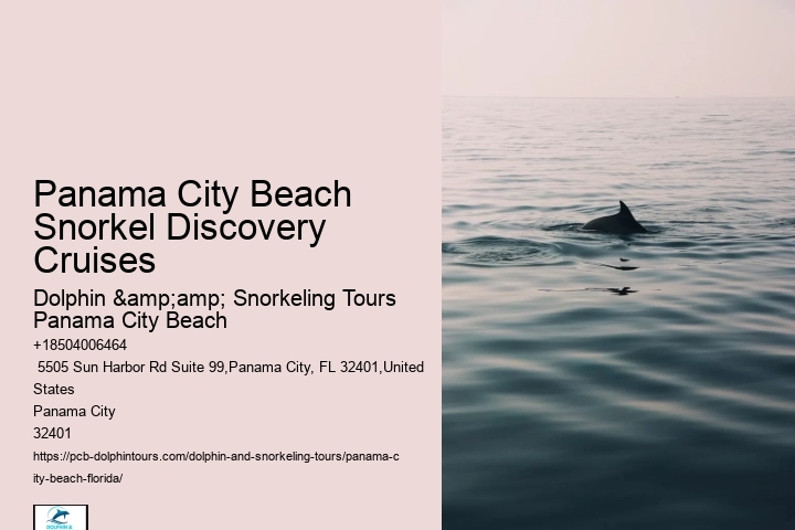 Panama City Beach Snorkeling Tours Ut