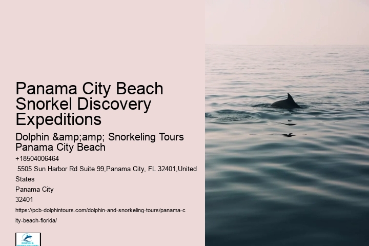 Panama City Beach Snorkeling Tours Xtr