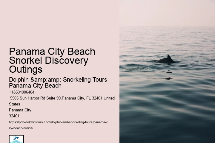 Dolphin And Snorkeling Tours