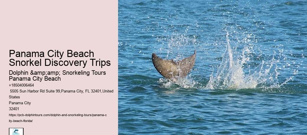 Panama City Beach Snorkel Boat Cruises