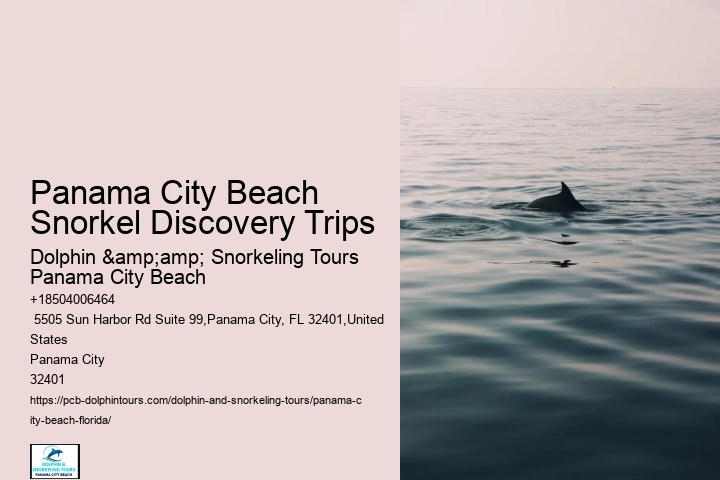 Panama City Beach Snorkeling Tours Washington