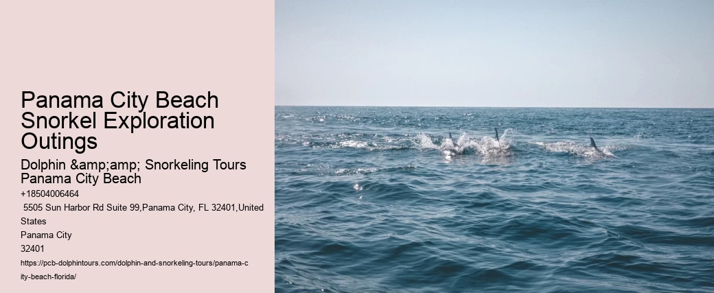 Panama City Beach Snorkeling Tours Savage Valley