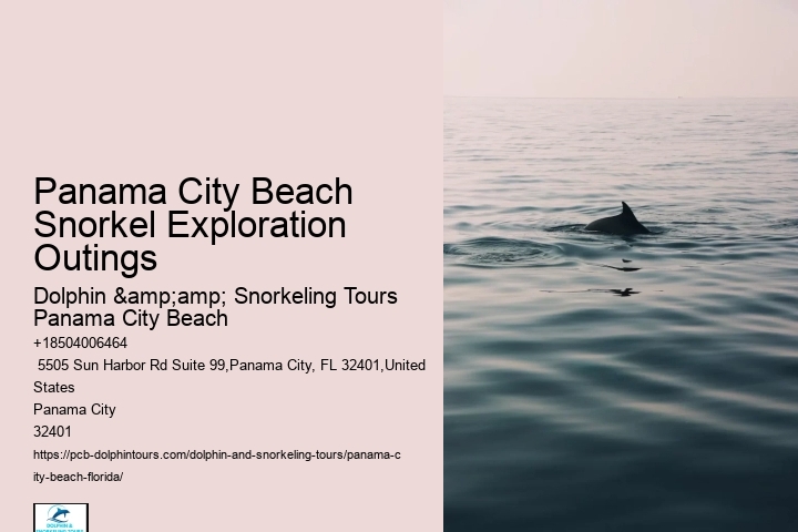 Dolphin Tours Panama City Beach
