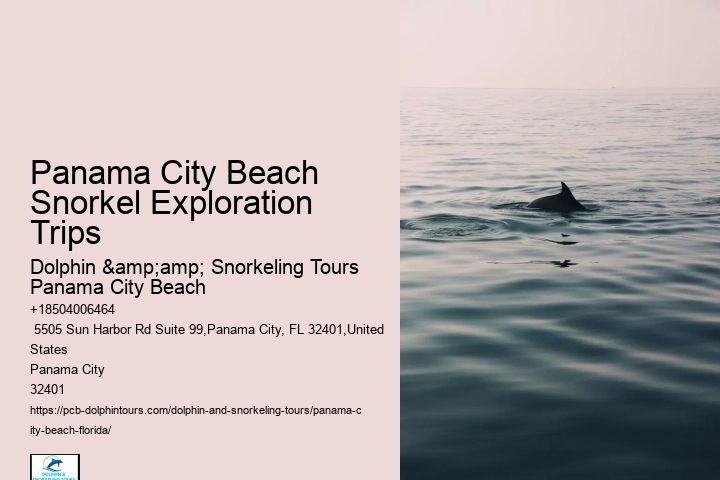 Panama City Beach Snorkeling Tours Rv