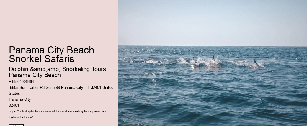 Panama City Beach Snorkeling Tours Tips