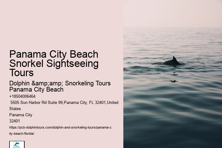Are Panama City Beach Snorkeling Tours Suitable For Beginners