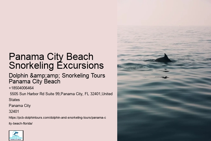 Panama City Beach Snorkeling Tours Queens