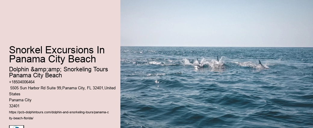 Panama City Beach Snorkeling Tours Honolulu