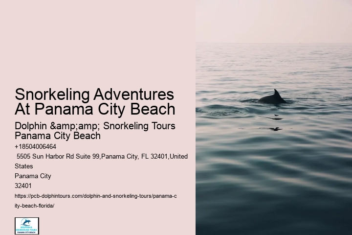 Panama City Beach Snorkeling Tours Valley