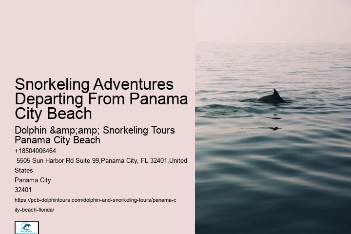 Panama City Beach Reef Snorkeling Tours