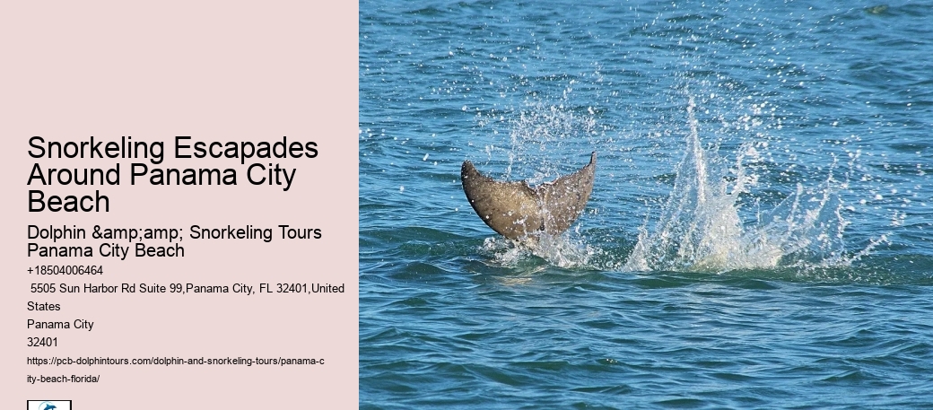 Panama City Beach Snorkeling Tours Del