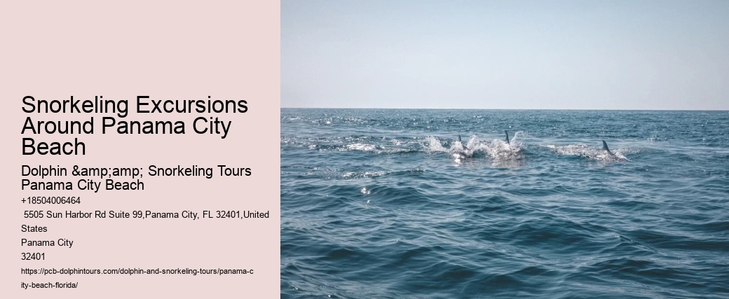 Snorkel Exploration Cruises In Panama City Beach