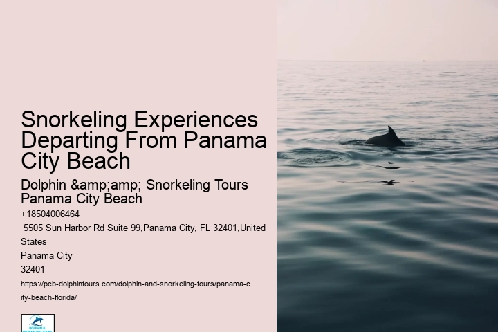 Panama City Beach Snorkeling Tours Park