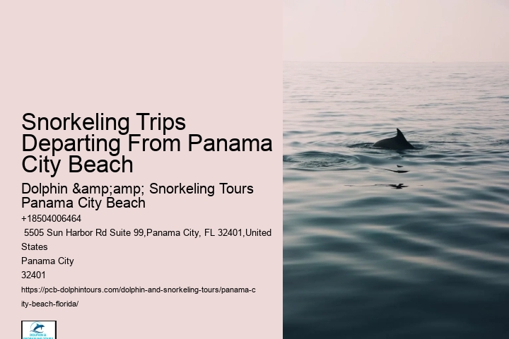 Panama City Beach Snorkeling Tours Site Youtube.com