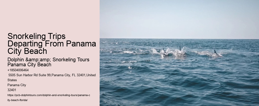 Free Snorkeling Panama City Beach Beach